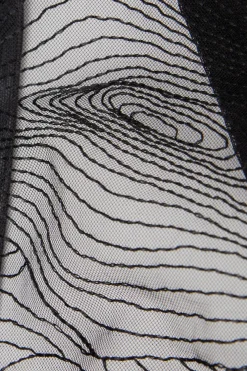 Brazyliany Hypnotic Details