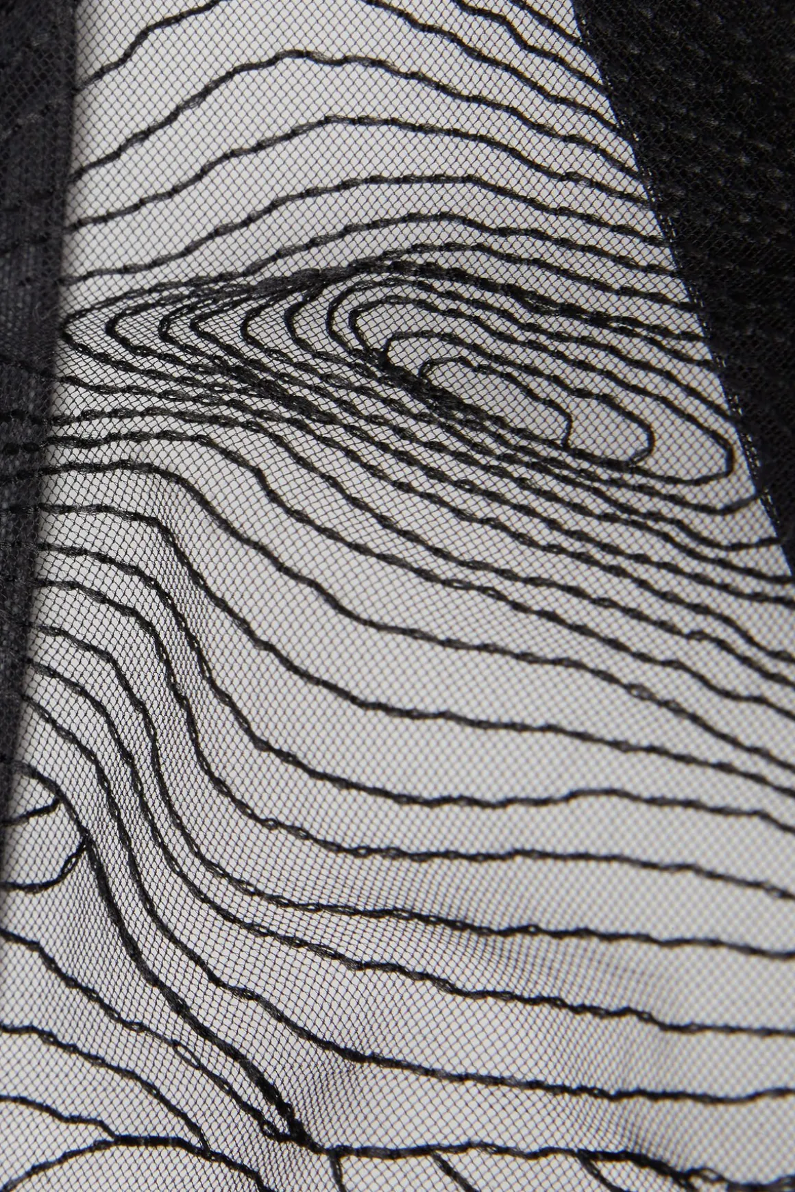 Brazyliany Hypnotic Details